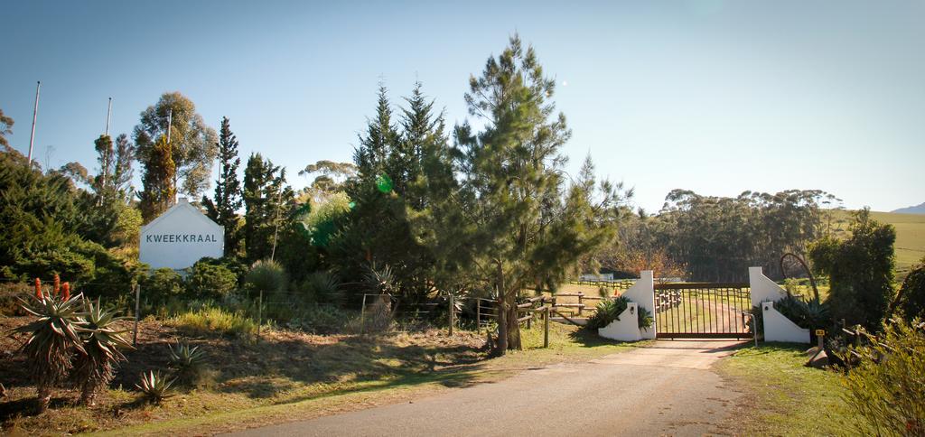 Kweekkraal Guest Farm Villa Riversdale Eksteriør bilde